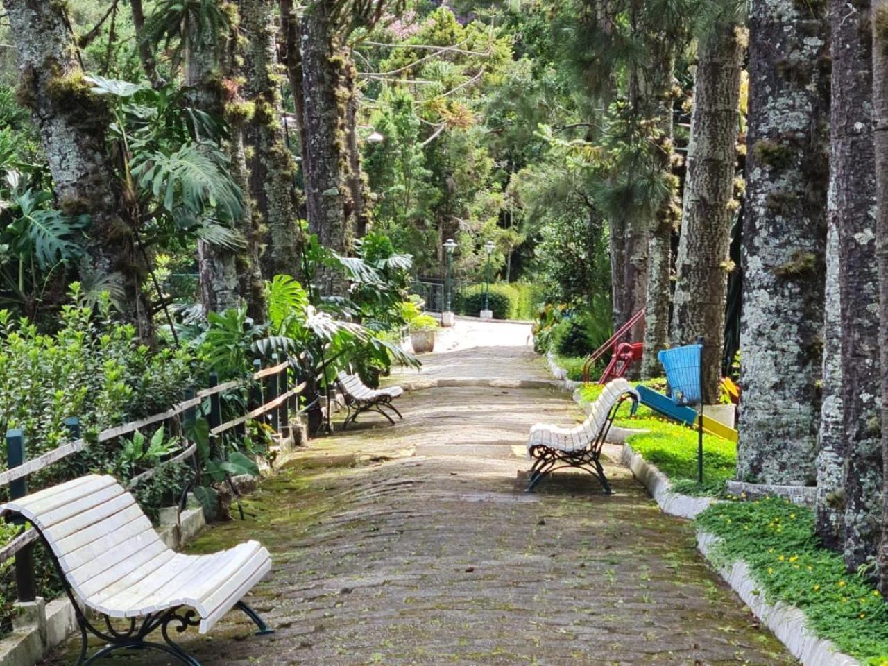Hotel Bucsky โนวาฟริบูร์โก ภายนอก รูปภาพ